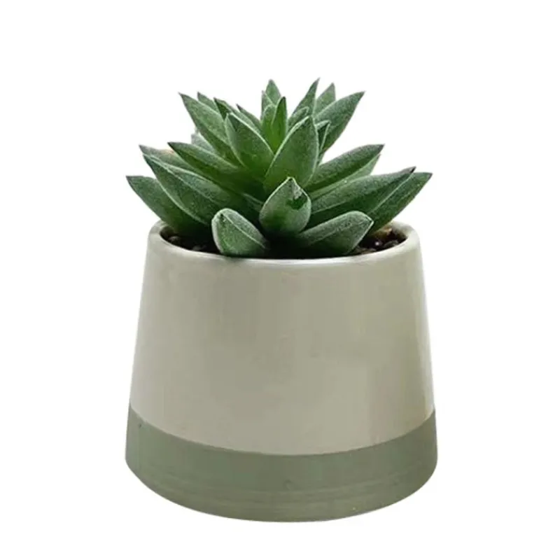 Clearance Succulente pot bicolore Fleur, Plante Artificielle