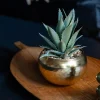 Hot Succulente pot or Fleur, Plante Artificielle