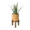 Discount Succulente pot pied bois Fleur, Plante Artificielle