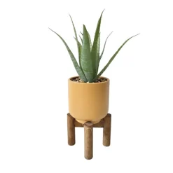 Discount Succulente pot pied bois Fleur, Plante Artificielle