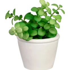 Online Succulente pot texture Fleur, Plante Artificielle