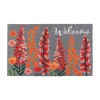 Tapis imp welcome 45x75cm Tapis