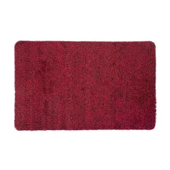 Best Tapis super absorbant Tapis