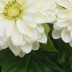 Hot Zinnia artificiel en pot Fleur, Plante Artificielle